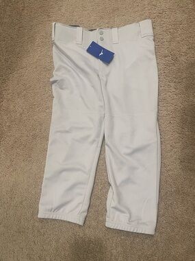 Mizuno Women's Gray Baseball/Softball Pants